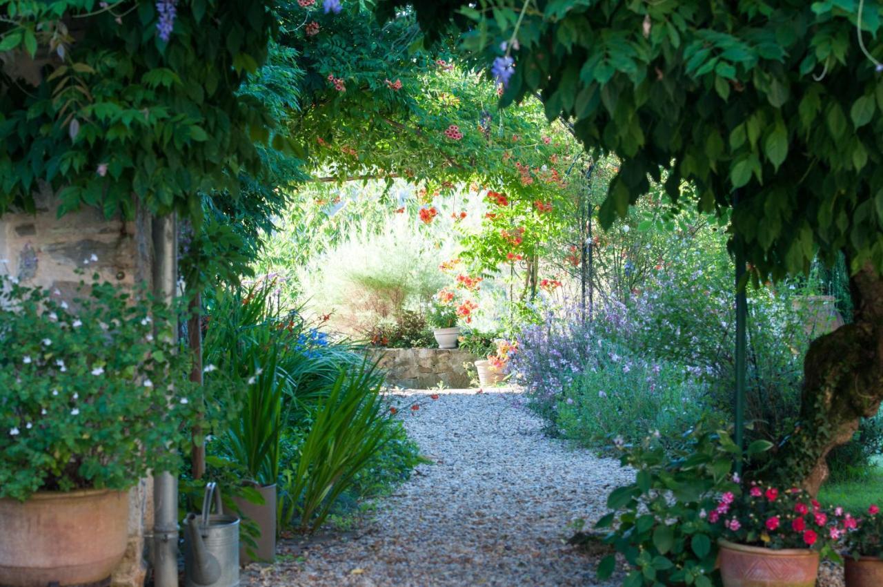 Chambres D'Hotes Secret Pyrenees Lasseube エクステリア 写真