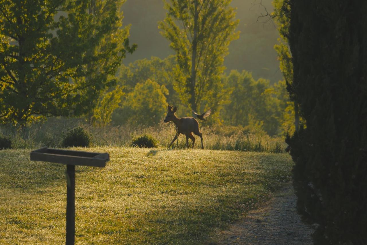 Chambres D'Hotes Secret Pyrenees Lasseube エクステリア 写真