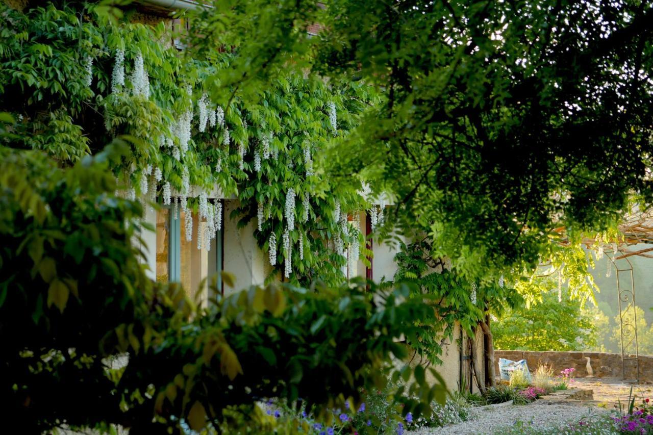 Chambres D'Hotes Secret Pyrenees Lasseube エクステリア 写真