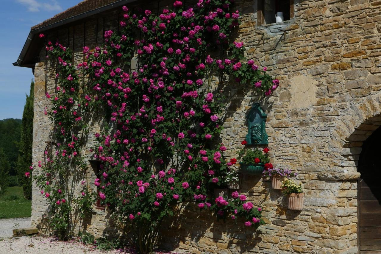 Chambres D'Hotes Secret Pyrenees Lasseube エクステリア 写真