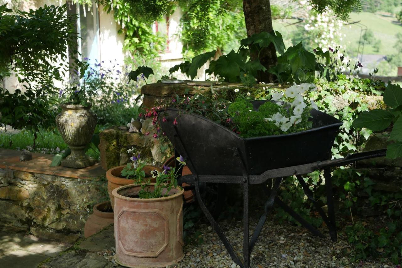 Chambres D'Hotes Secret Pyrenees Lasseube エクステリア 写真