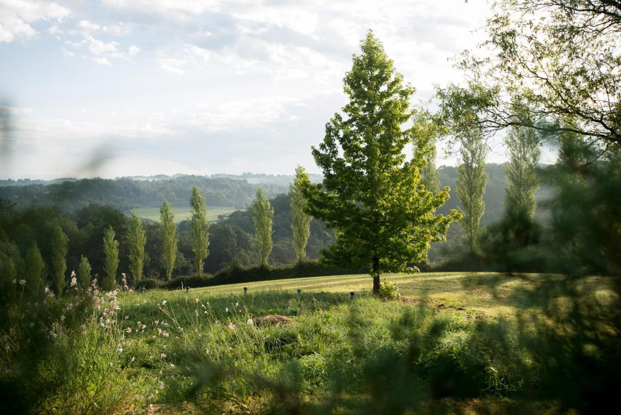 Chambres D'Hotes Secret Pyrenees Lasseube エクステリア 写真